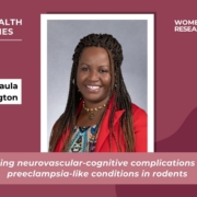 Modeling neurovascular-cognitive complications after preeclampsia-like conditions in rodents